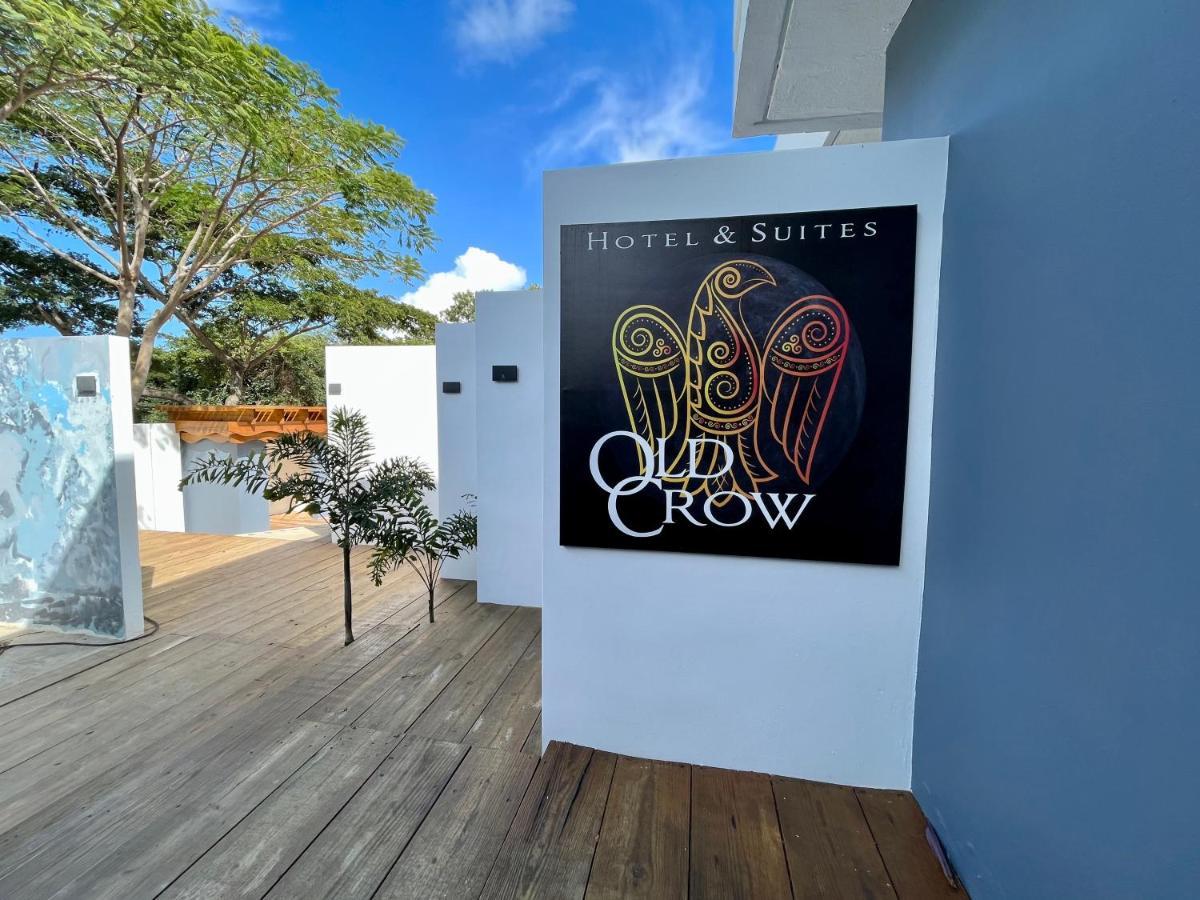 Old Crow Hotel And Suites Vieques Luaran gambar
