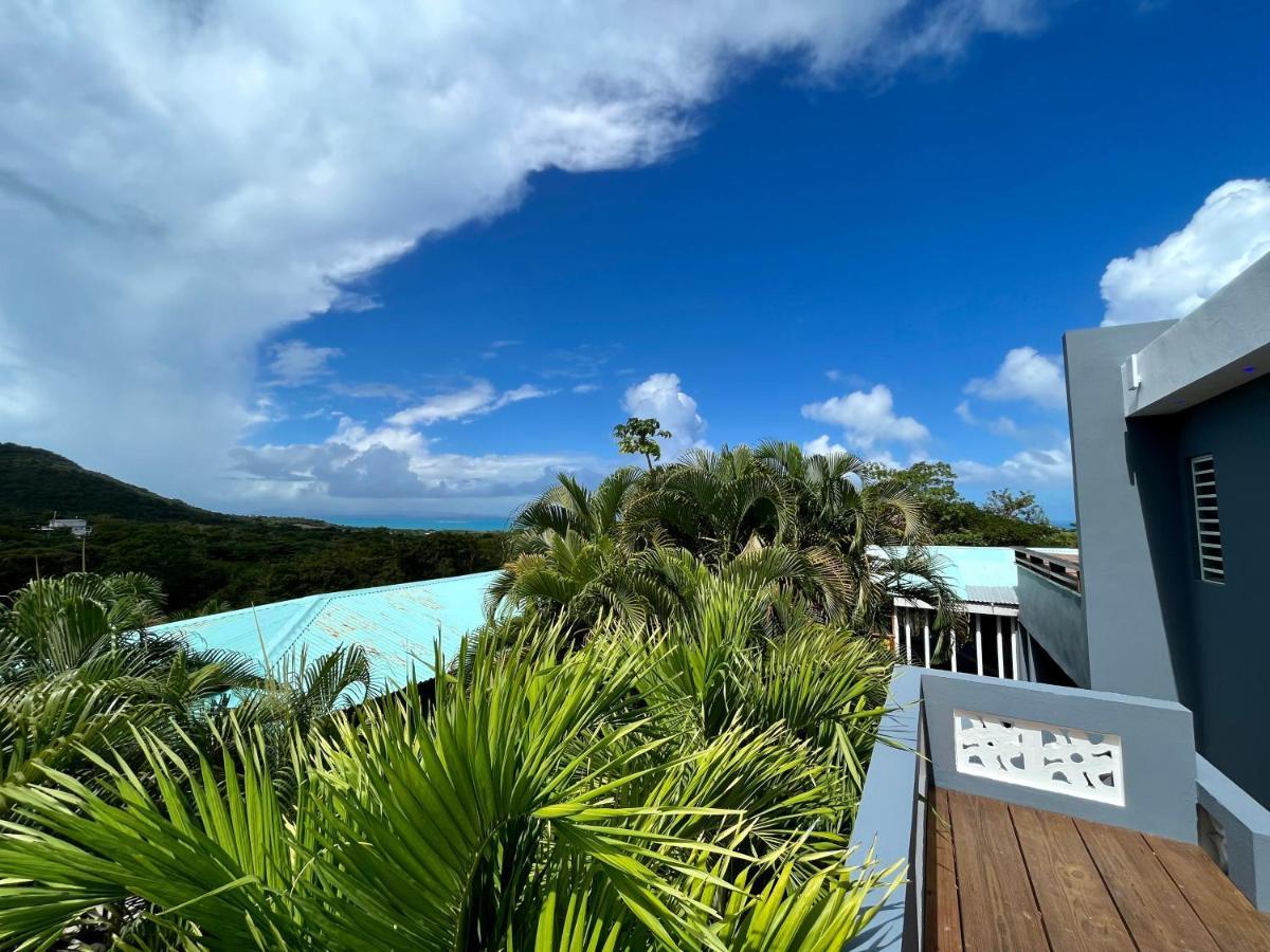 Old Crow Hotel And Suites Vieques Luaran gambar